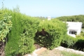 29-7c2f312881aea9bbe9ddaeb9640e2c9a.jpg